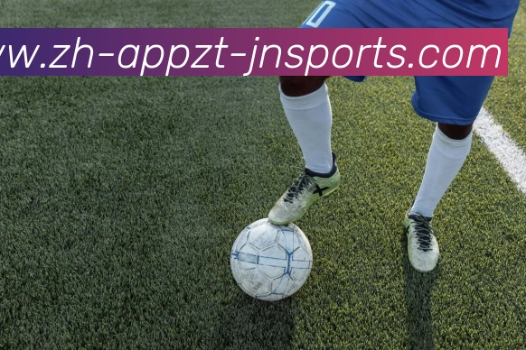 App Interface Preview