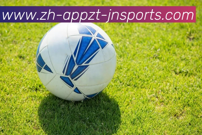 江南体育APP 封面图