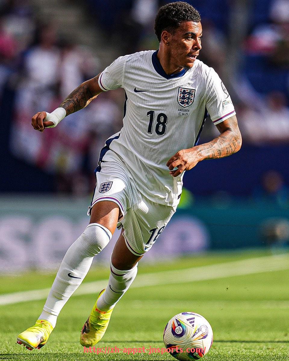 江南体育APP-德甲药厂球队—勒沃库森的历史与现状